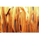 Luxus állólámpa Joy