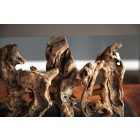 Asztali lámpa uszadékfából NATURE 