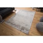 Stílusos szőnyeg Rowan 240x160 világos szürke-bézs 