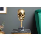 Dekoratív elem Koponya 35 cm arany