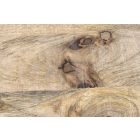 Design asztal laptophoz tárolóhellyel Maliha 45 cm mangó