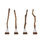 Kabáttartó Lyric 200 cm teakfa