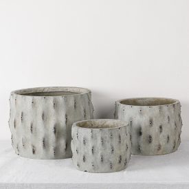 Design virágtartó ACANTHA GRIS szürke S