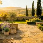 Design virágtartó TERRA ANTIQUA világos terracotta Készlet