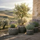 Design virágtartó TERRA ANTIQUA NOIR fekete L