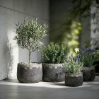 Design virágtartó TERRA ANTIQUA NOIR fekete M