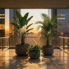 Design virágtartó YARA NOIR II. fekete M